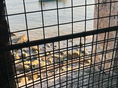 -威远炮台