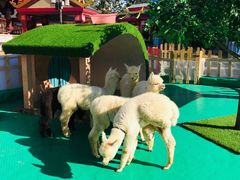 -七彩云南欢乐世界