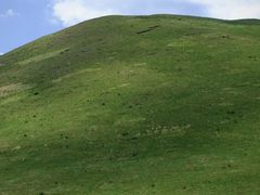 -灵山
