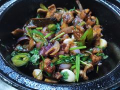 -石岐乳鸽村(南海第三分店)