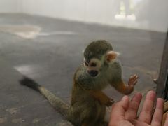-西安秦岭野生动物园