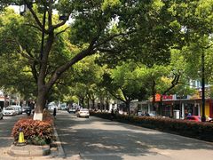 -熙盛源(凤凰街店)