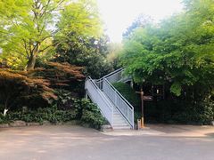 -环球动漫嬉戏谷