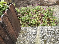 -金鱼妈妈 山野·食趣(荫山街店)