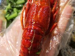 -虾小龙老长沙龙虾馆(坡子街店)