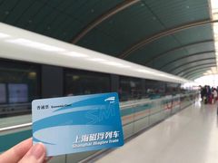 -浦东1号2号航站楼(地铁站)