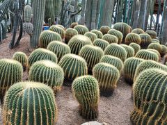 -南山植物园