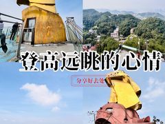 -大金鹰园