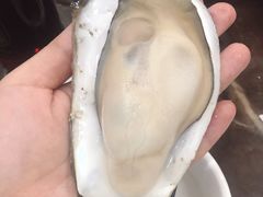 -蚝专家(北滘店)