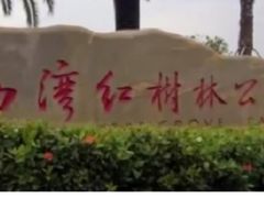 -宝安西湾红树林湿地公园