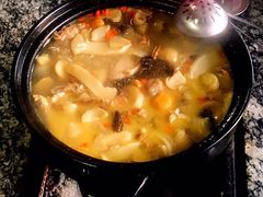 -蘑统田下·野生菌火锅