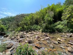 -广州白江湖森林公园