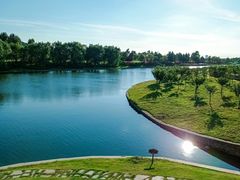 -羊亭河湿地公园