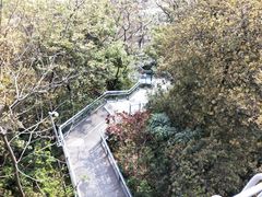-佛山华盖山公园