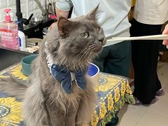 -平行世界·猫咖(首经贸店)
