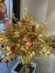 点击看大图 -Cindy Jewelry·钻戒·彩色宝石