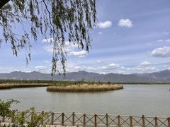 -野鸭湖国家湿地公园