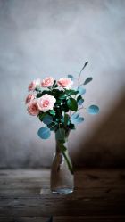 -厦门美莱整形美容医院