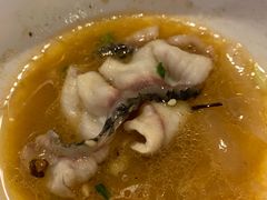 -百岁鱼(人民路店)