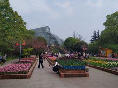 -南山植物园