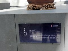 -中华赏石园