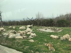 -西安秦岭野生动物园