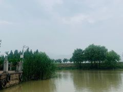 -长兴太湖图影湿地文化园
