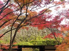 -常寂光寺