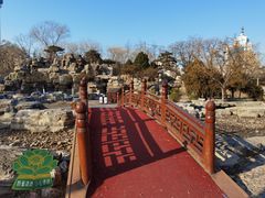-莲花池公园