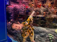 -沈阳海洋探索中心