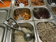 -油梨树 AVOCADO TREE(亮马桥店)