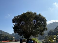-广州市石门国家森林公园