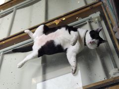 -猫的天空之城概念书店(杭州南宋御街店)