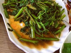 虾酱空心菜-兴旺海鲜砂煲王