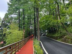 -莫干山风景区