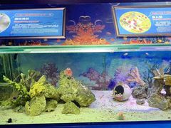 -重庆欢乐海底世界
