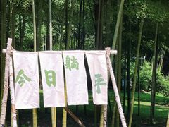 -天目湖御水温泉·度假酒店