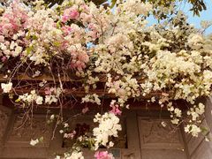 -深圳国际园林花卉博览园