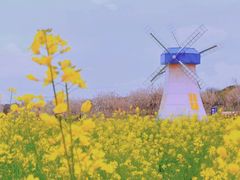 -武汉紫薇都市田园