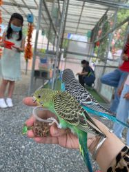 -萌宠亲子动物乐园(槐房万达店)