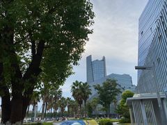 -金沙湖公园