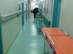-北京观赏动物医院·24小时大型综合·猫专科·异宠专科