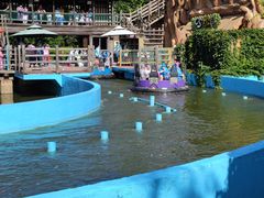 -大连海昌发现王国主题公园