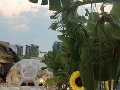 -天空花园餐吧·生日·团建(南山店)