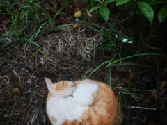 -南京市江宁方山