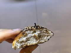 福建小鱼干碱水-WHEN PIGS FLY当猪飞