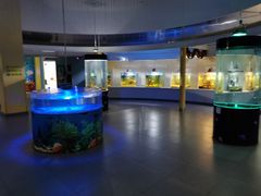 -常州海昌海洋探索馆