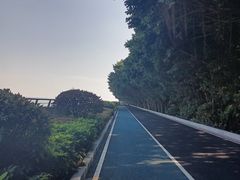 -大湾区中央湿地公园
