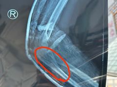 -北京精诚实验小学国际部