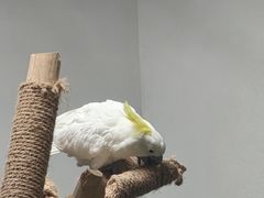 -青藏高原野生动物园
